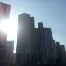 지방792호 헤럴드경제