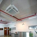 오란디프 이미지