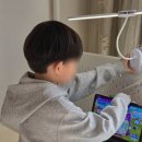 타카푸나영어원서교실 | 학교 숙제보다 먼저 찾는 캐츠잉글리시 초등영어 습관