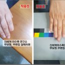 신세계 의수족 연구소 이미지