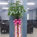 미르컴퓨터학원 네이버블로그