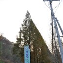 한마음의집 | 대전 장태산자연휴양림 - 아름다운 가을 숲 속, 가족모임. (11/5~11/6, 1박2일)