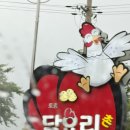 정든닭 | 해남 대흥사 맛집 토종닭 코스요리가 맛있었던 정든집