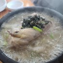 서오릉다슬기 이미지