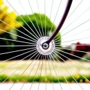 사회복지사 1급 이론 - 인간행동과 사회환경 이미지