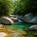 풀내음민박 | 🌲 아는 사람만 간다! 서울 근교 숨겨진 계곡 명소 5곳