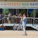 내양초등학교 이미지