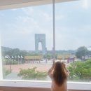 가족과 함께 쿠키만들기 | 경주 아이 체험 추천🍪 핑크빛 서라애 쿠키 만들기, 엑스포 뷰 카페 후기