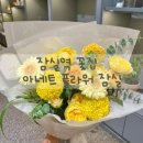 아네트플라워잠실