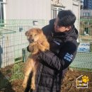 로라스토리