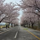 남대천로 이미지