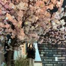 현명 | 신촌역 근처 현명식탁 솔직 후기
