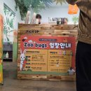 쥬니멀 전시장 | 인천동물원 쥬벅스, 인천가볼만한곳으로 추천하는 인천실내동물원 체험!