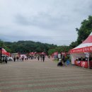 2025 울산대공원 장미축제 부스체험 및 화장실 위치 공유 티니핑 사진부스 메인무대 공연 정보 동물원 구경