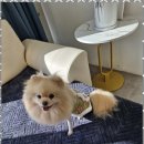 인제호텔 이미지