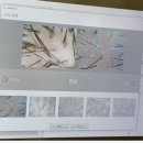 조은메디칼 | 천안 쌍용동 찰스리헤어테크 두피관리 솔직후기!