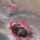 강서스마일재가센터 이미지