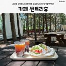 휴 힐링 카페 | 경주 외동 카페 썬트리휴｜숲뷰 힐링 제대로 되는 경주 대형카페 추천