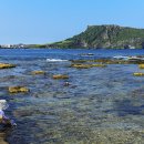 제이에스여행 이미지