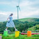 웰컴투목장 이미지