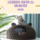 엔케이펫