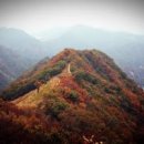 축제갈비 이미지
