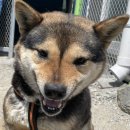 두식농장 이미지