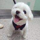 멈무는하루 이미지