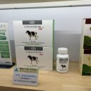 호주면세점직영할인점 이미지