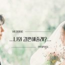 울산웨딩앤