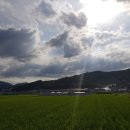 선산대로-59 이미지