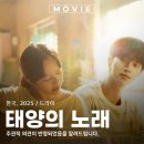 태양과 소녀 | 태양의 노래 드라마 로맨스 일본 영화 원작 정보 OTT 관람평과 솔직 후기