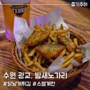 노가리집 | 광교 생맥주 호프집 밤새노가리