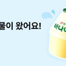OK캐쉬백) 선착순 1만명 뚱바 무료 선물 이미지
