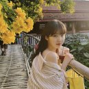 ㈜아이유국제결혼 | 남창희 결혼, 아내 윤영경 누구? 한강 아이유 정체와 반전 이력 정리