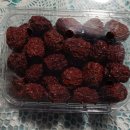 우창농장 이미지