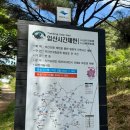 지리산 바래봉 철쭉 개화 전 후기, 이 타이밍이 오히려 정답