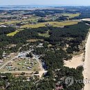 몽산포 송림 이미지