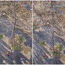 모과목장 이미지