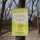 단추숲
