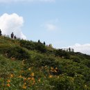 하늘정원 이미지