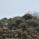 비틀즈공인중개사사무소 이미지