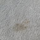 푸른마을세탁 이미지