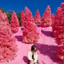 굿미용실 이미지