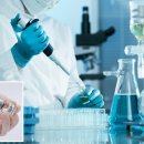 FDA 조사관들이 GLP-1 계열 체중 감량제를 생산하는 중국 공장 두 곳에서 벌레와 곰팡이를 발견했다고 보도되었습니다. 이미지