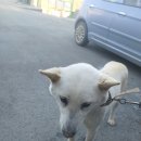 하촌경로당 이미지