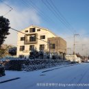 위미 모루왓 이미지