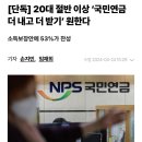 20대 절반 이상 국민연금 '더내고 더받기' 원한다.jpg 이미지