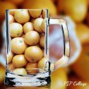 오리한마리 이미지