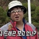 도니도니 이미지
